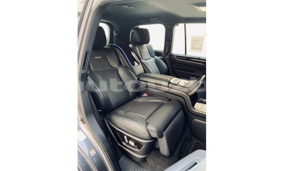 Buy Import Lexus LX Other Car in Import - Dubai in Andijon Buy Import Lexus LX Other Car in Import - Dubai in Andijon