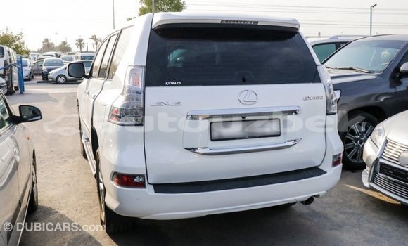 Buy Import Lexus GX White Car in Import - Dubai in Andijon Buy Import Lexus GX White Car in Import - Dubai in Andijon
