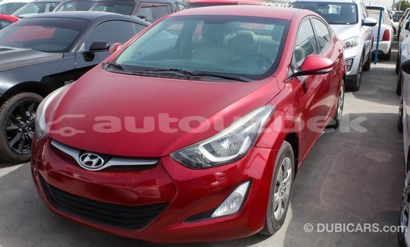 Buy Import Hyundai Elantra Red Car in Import - Dubai in Andijon Buy Import Hyundai Elantra Red Car in Import - Dubai in Andijon