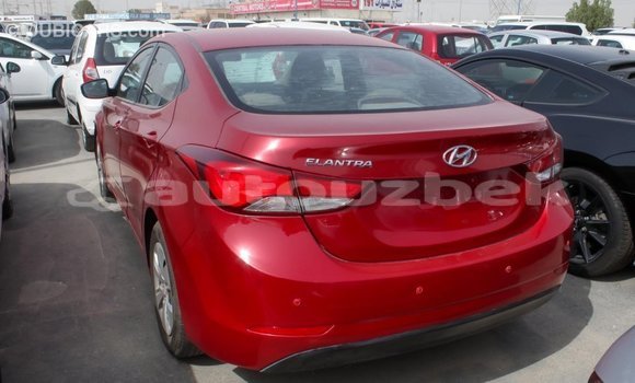 Buy Import Hyundai Elantra Red Car in Import - Dubai in Andijon Buy Import Hyundai Elantra Red Car in Import - Dubai in Andijon