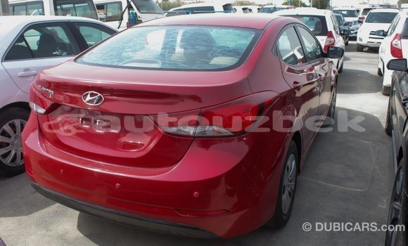 Buy Import Hyundai Elantra Red Car in Import - Dubai in Andijon Buy Import Hyundai Elantra Red Car in Import - Dubai in Andijon
