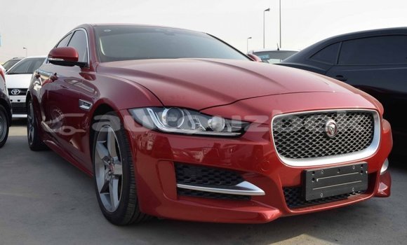 Buy Import Jaguar XE Red Car in Import - Dubai in Andijon