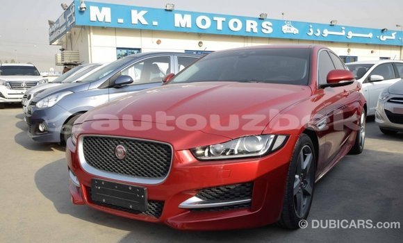 Buy Import Jaguar XE Red Car in Import - Dubai in Andijon Buy Import Jaguar XE Red Car in Import - Dubai in Andijon