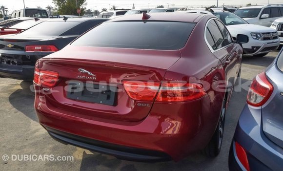 Buy Import Jaguar XE Red Car in Import - Dubai in Andijon Buy Import Jaguar XE Red Car in Import - Dubai in Andijon