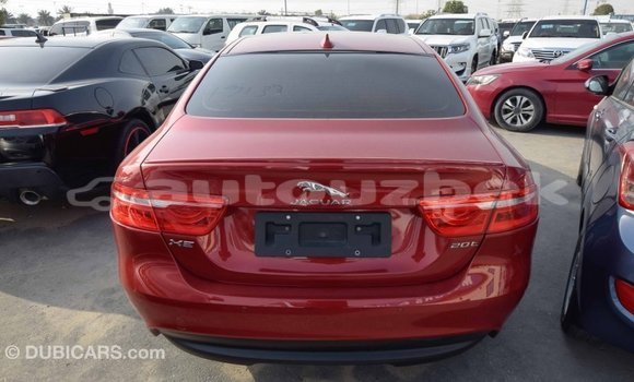 Buy Import Jaguar XE Red Car in Import - Dubai in Andijon Buy Import Jaguar XE Red Car in Import - Dubai in Andijon
