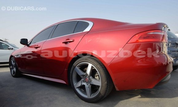 Buy Import Jaguar XE Red Car in Import - Dubai in Andijon Buy Import Jaguar XE Red Car in Import - Dubai in Andijon