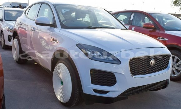 Buy Import Jaguar E-Pace White Car in Import - Dubai in Andijon