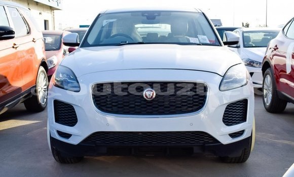Buy Import Jaguar E-Pace White Car in Import - Dubai in Andijon Buy Import Jaguar E-Pace White Car in Import - Dubai in Andijon