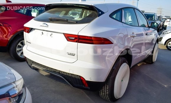 Buy Import Jaguar E-Pace White Car in Import - Dubai in Andijon Buy Import Jaguar E-Pace White Car in Import - Dubai in Andijon