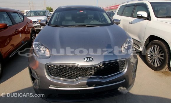 Buy Import Kia Sportage Other Car in Import - Dubai in Andijon Buy Import Kia Sportage Other Car in Import - Dubai in Andijon