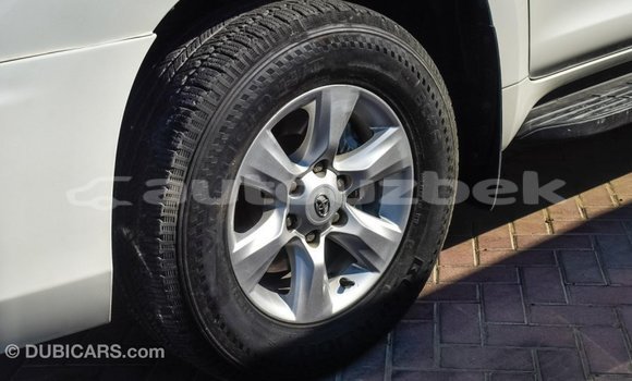 Buy Import Toyota Prado White Car in Import - Dubai in Andijon Buy Import Toyota Prado White Car in Import - Dubai in Andijon