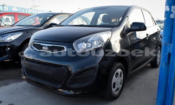 Buy Import Kia Picanto Black Car in Import - Dubai in Andijon Buy Import Kia Picanto Black Car in Import - Dubai in Andijon