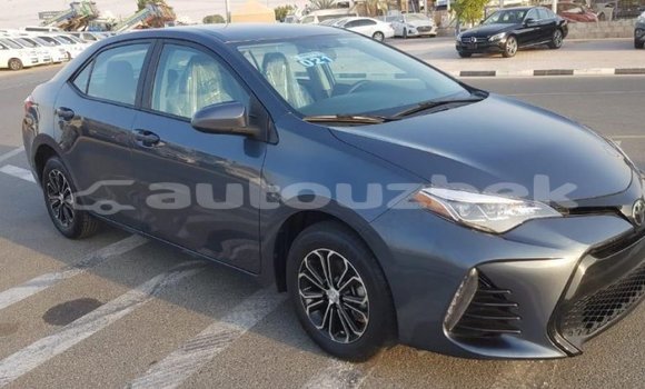 Buy Import Toyota Corolla Other Car in Import - Dubai in Andijon Buy Import Toyota Corolla Other Car in Import - Dubai in Andijon