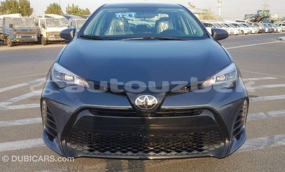 Buy Import Toyota Corolla Other Car in Import - Dubai in Andijon Buy Import Toyota Corolla Other Car in Import - Dubai in Andijon