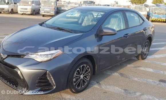 Buy Import Toyota Corolla Other Car in Import - Dubai in Andijon Buy Import Toyota Corolla Other Car in Import - Dubai in Andijon