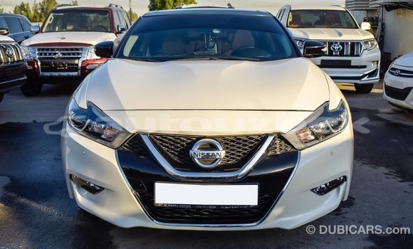Buy Import Nissan Maxima White Car in Import - Dubai in Andijon Buy Import Nissan Maxima White Car in Import - Dubai in Andijon