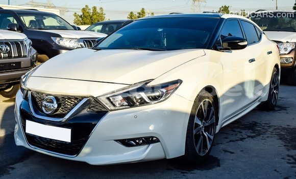 Buy Import Nissan Maxima White Car in Import - Dubai in Andijon Buy Import Nissan Maxima White Car in Import - Dubai in Andijon