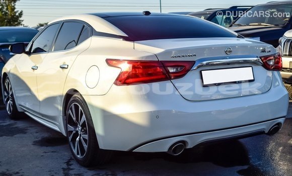 Buy Import Nissan Maxima White Car in Import - Dubai in Andijon Buy Import Nissan Maxima White Car in Import - Dubai in Andijon