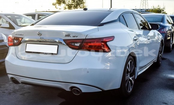 Buy Import Nissan Maxima White Car in Import - Dubai in Andijon Buy Import Nissan Maxima White Car in Import - Dubai in Andijon