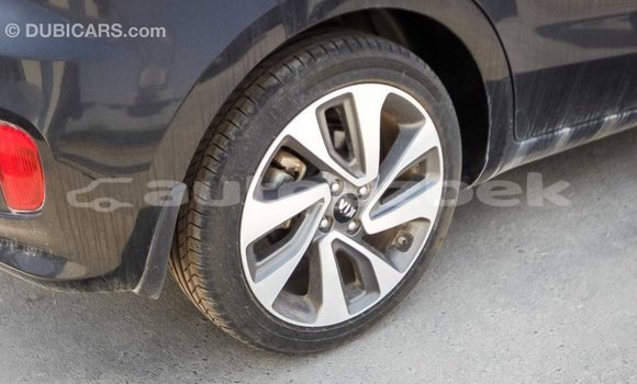 Buy Import Kia Rio Black Car in Import - Dubai in Andijon Buy Import Kia Rio Black Car in Import - Dubai in Andijon