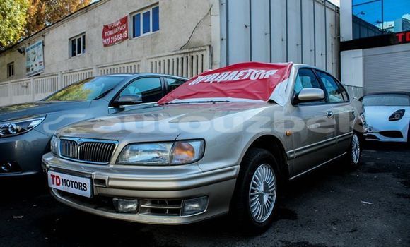 Buy Import Nissan Maxima Silver Car in Tashkent in Toskent