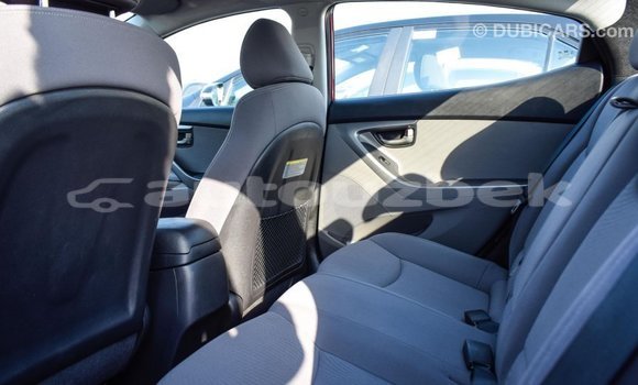 Buy Import Hyundai Elantra Red Car in Import - Dubai in Andijon Buy Import Hyundai Elantra Red Car in Import - Dubai in Andijon
