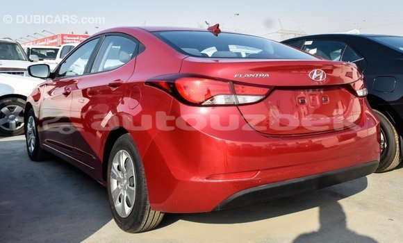 Buy Import Hyundai Elantra Red Car in Import - Dubai in Andijon Buy Import Hyundai Elantra Red Car in Import - Dubai in Andijon