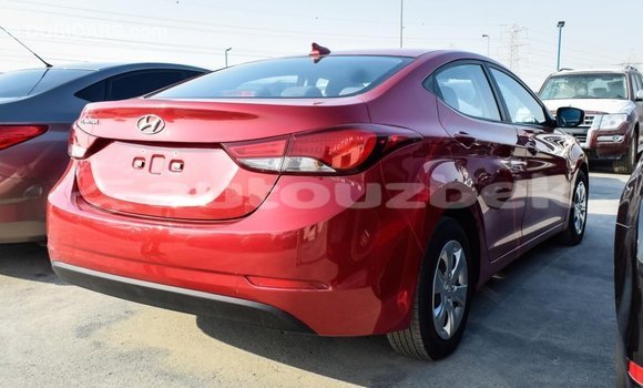 Buy Import Hyundai Elantra Red Car in Import - Dubai in Andijon Buy Import Hyundai Elantra Red Car in Import - Dubai in Andijon