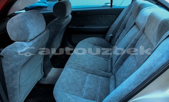 Buy Import Nissan Maxima Silver Car in Tashkent in Toskent Buy Import Nissan Maxima Silver Car in Tashkent in Toskent