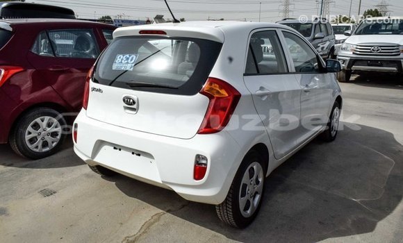 Buy Import Kia Picanto White Car in Import - Dubai in Andijon Buy Import Kia Picanto White Car in Import - Dubai in Andijon