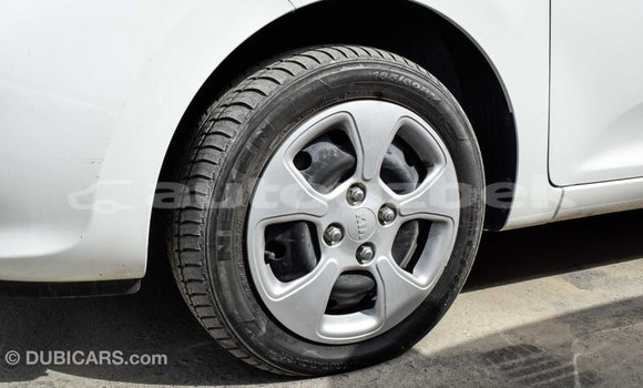 Buy Import Kia Picanto White Car in Import - Dubai in Andijon Buy Import Kia Picanto White Car in Import - Dubai in Andijon