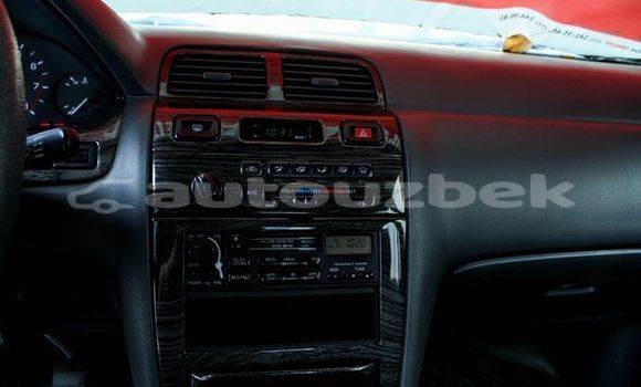 Buy Import Nissan Maxima Silver Car in Tashkent in Toskent Buy Import Nissan Maxima Silver Car in Tashkent in Toskent