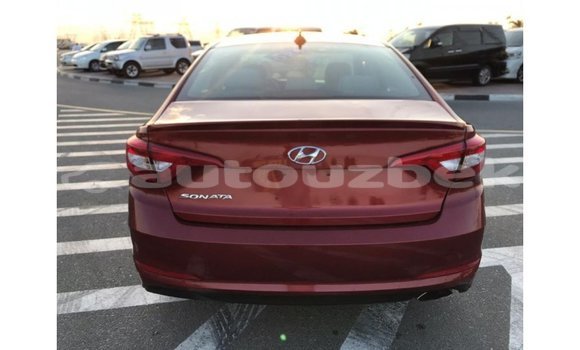 Buy Import Hyundai Sonata Red Car in Import - Dubai in Andijon Buy Import Hyundai Sonata Red Car in Import - Dubai in Andijon