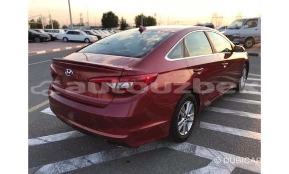 Buy Import Hyundai Sonata Red Car in Import - Dubai in Andijon Buy Import Hyundai Sonata Red Car in Import - Dubai in Andijon