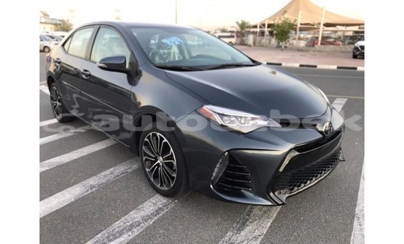 Buy Import Toyota Corolla Other Car in Import - Dubai in Andijon Buy Import Toyota Corolla Other Car in Import - Dubai in Andijon