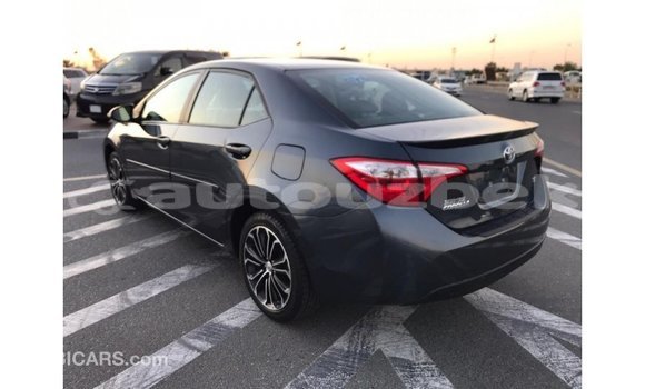 Buy Import Toyota Corolla Other Car in Import - Dubai in Andijon Buy Import Toyota Corolla Other Car in Import - Dubai in Andijon
