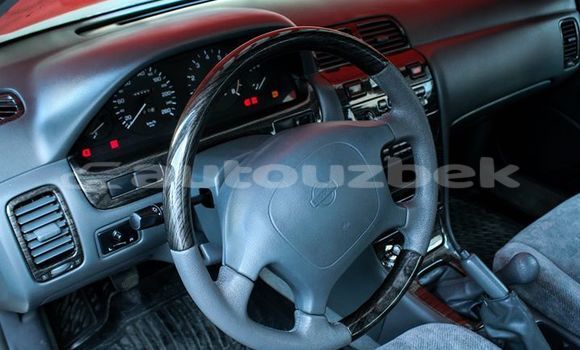 Buy Import Nissan Maxima Silver Car in Tashkent in Toskent Buy Import Nissan Maxima Silver Car in Tashkent in Toskent