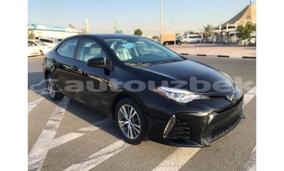 Buy Import Toyota Corolla Black Car in Import - Dubai in Andijon Buy Import Toyota Corolla Black Car in Import - Dubai in Andijon