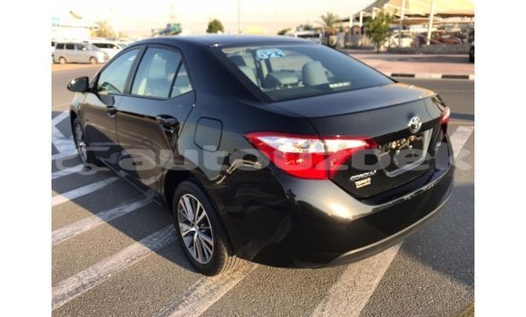 Buy Import Toyota Corolla Black Car in Import - Dubai in Andijon Buy Import Toyota Corolla Black Car in Import - Dubai in Andijon