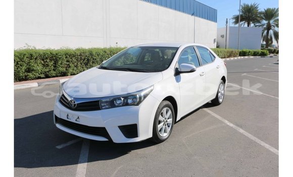 Buy Import Toyota Corolla White Car in Import - Dubai in Andijon Buy Import Toyota Corolla White Car in Import - Dubai in Andijon