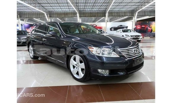 Buy Import Lexus LS Other Car in Import - Dubai in Andijon Buy Import Lexus LS Other Car in Import - Dubai in Andijon