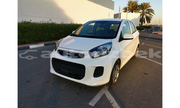 Buy Import Kia Picanto White Car in Import - Dubai in Andijon Buy Import Kia Picanto White Car in Import - Dubai in Andijon