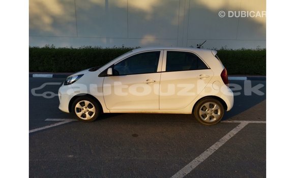 Buy Import Kia Picanto White Car in Import - Dubai in Andijon Buy Import Kia Picanto White Car in Import - Dubai in Andijon