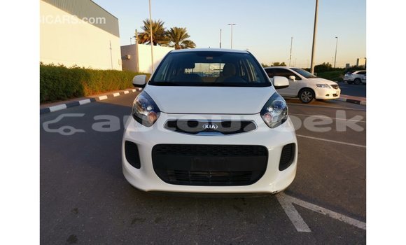 Buy Import Kia Picanto White Car in Import - Dubai in Andijon Buy Import Kia Picanto White Car in Import - Dubai in Andijon