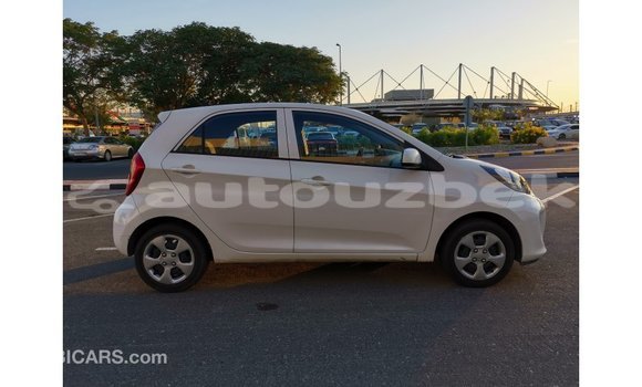 Buy Import Kia Picanto White Car in Import - Dubai in Andijon Buy Import Kia Picanto White Car in Import - Dubai in Andijon