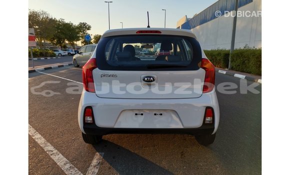 Buy Import Kia Picanto White Car in Import - Dubai in Andijon Buy Import Kia Picanto White Car in Import - Dubai in Andijon