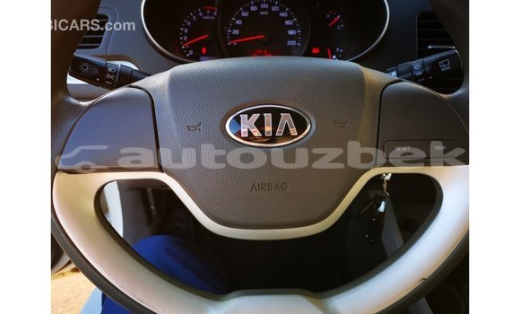 Buy Import Kia Picanto White Car in Import - Dubai in Andijon Buy Import Kia Picanto White Car in Import - Dubai in Andijon