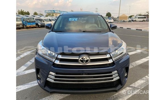 Buy Import Toyota Highlander Blue Car in Import - Dubai in Andijon Buy Import Toyota Highlander Blue Car in Import - Dubai in Andijon