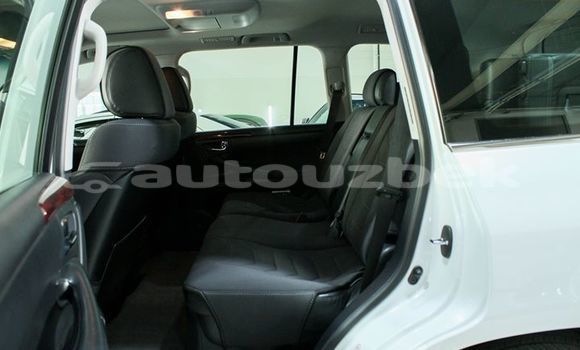 Buy Import Lexus LX White Car in Tashkent in Toskent Buy Import Lexus LX White Car in Tashkent in Toskent