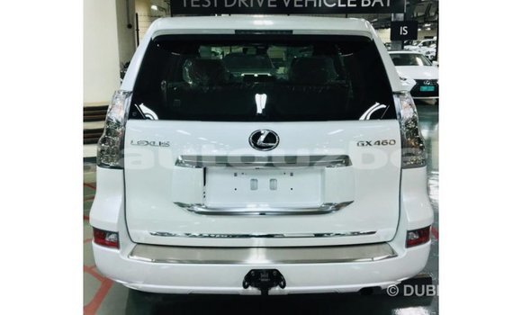 Buy Import Lexus GX White Car in Import - Dubai in Andijon Buy Import Lexus GX White Car in Import - Dubai in Andijon